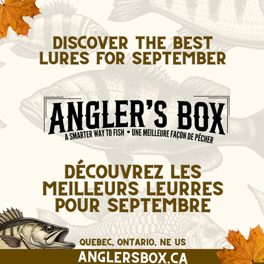 September Fishing: Mastering Multi Species Fishing with the Right Baits