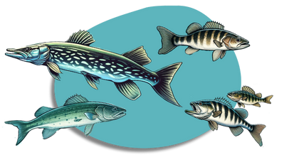 Multispecies