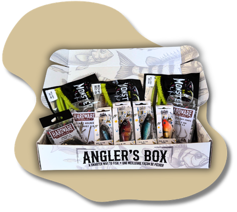 Bass Spring Bundle