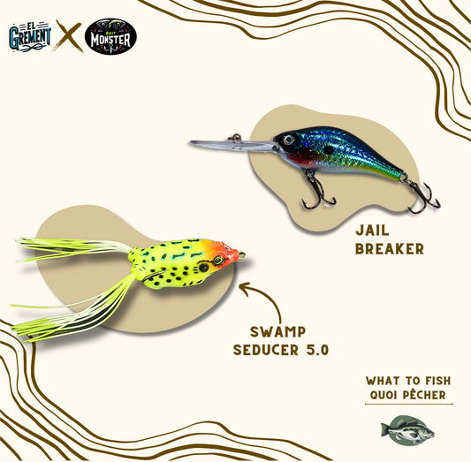 Bass Summer Combo
